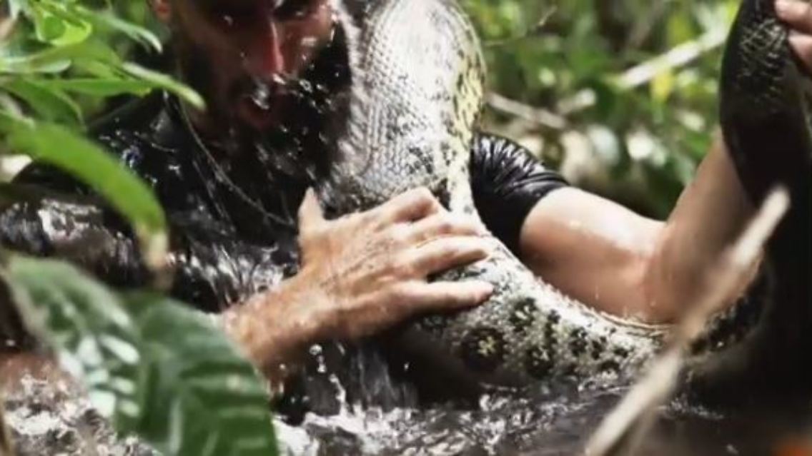 anaconda.JPG