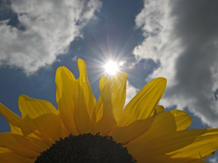 Der Gedanke an wohlig warme Sonnenstrahlen weckt positive Emotionen, zieht uns aber viel weniger in den Bann ...
