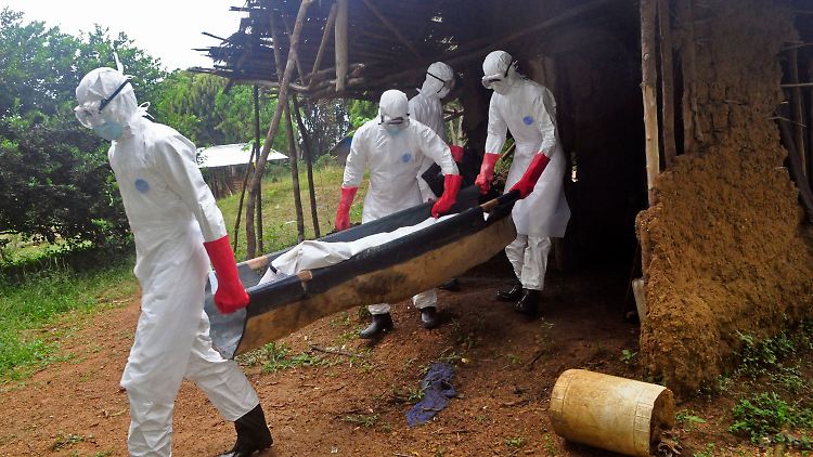Zahlreiche internationale Helfer sind in Liberia im Einsatz gegen die Ebola-Epidemie.