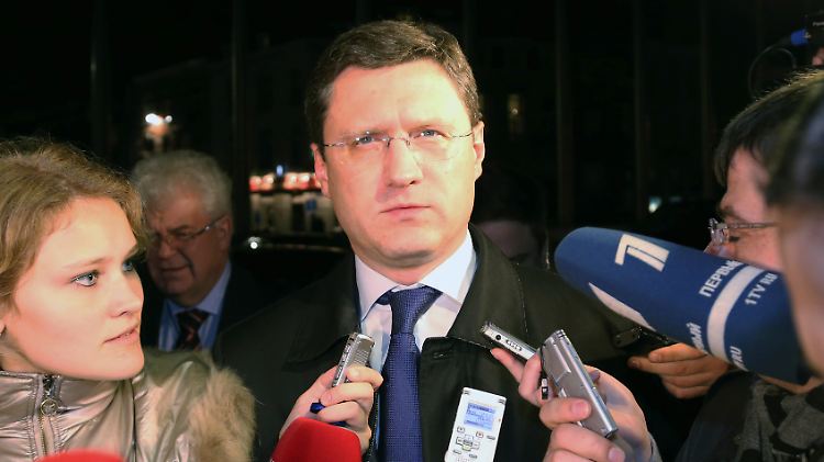 Wie genau ist noch unklar: Russlands Energieminister Alexander Nowak (Archivbild) soll den Preisrutsch aufhalten.