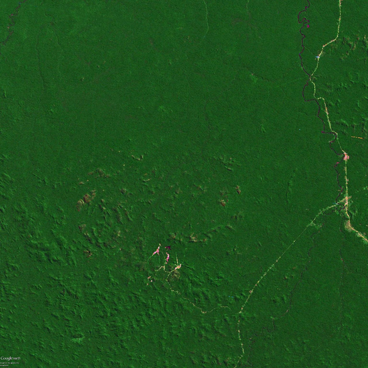 Sattes Grün: Das ist der Regenwald in einem Amazonas-Gebiet im Jahr 1975.
