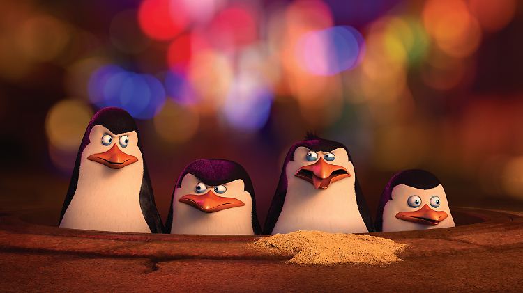 Vier Pinguine sollt ihr sein.