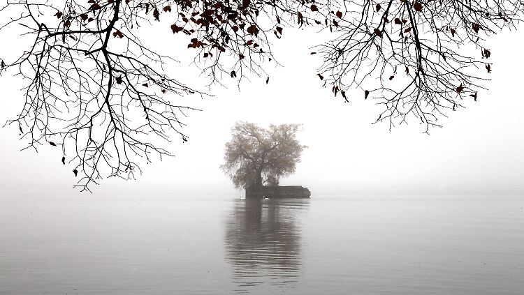 Eingehüllt in Nebel: Eine kleine Insel auf dem Bodensee bei Lindau.