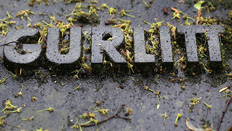 Gurlitts Grab in Düsseldorf: Hier liegt der Kunstsammler zusammen mit seinen Eltern.
