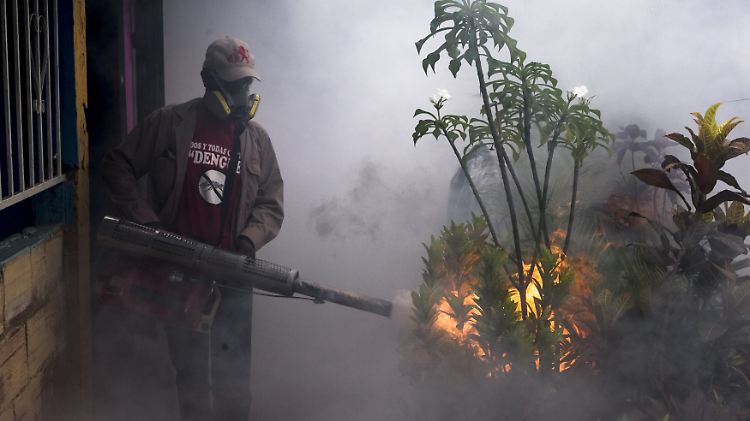 Auch in Venezuela versucht die Regierung, eine weitere Verbreitung des Virus' zu verhindern, indem Mücken bekämpft werden.