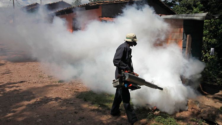 Ein Gesundheitsmitarbeiter geht in Villa San Francisco, einem Vorort der honduranischen Hauptstadt Tegucigalpa, gegen die Überträger der Krankheit vor.
