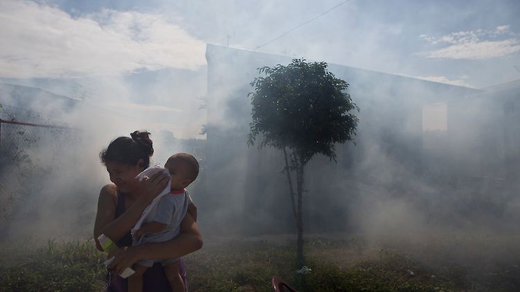 Ein Bild von Anfang November aus Managua in Nicaragua: Mückenbrutstätten werden mit Chemikalien bekämpft. Aktuell meldet das Land mehr als 800 Verdachtsfälle von Chikungunya-Fieber. Gut 60 Fälle wurden dort bislang bestätigt.