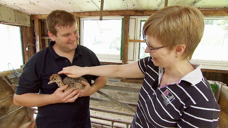 Mit einem Straußenbaby kann Bauer Sebastian bei Ines ordentlich an der Flirtschraube drehen.