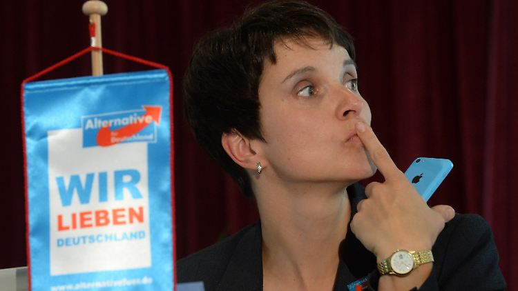 Frauke Petry ist eine von drei Sprecherinnen der AfD-Spitze.