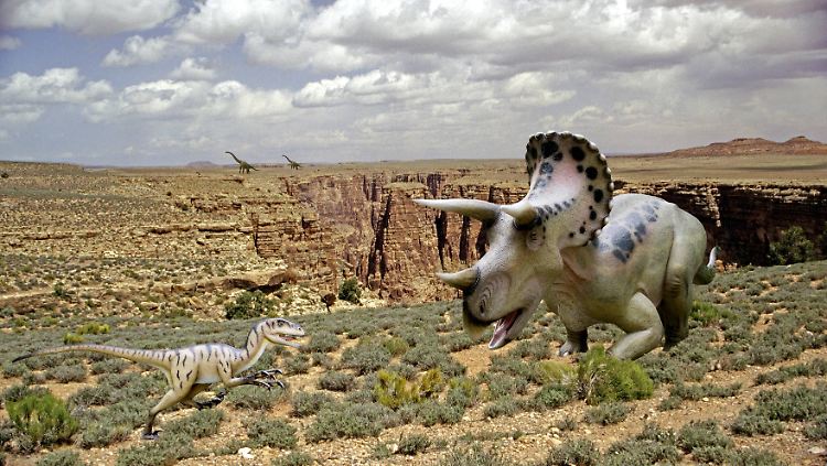 Der Pflanzenfresser "Pentaceratops" (r.) ist aus dem Südwesten der heutigen USA bekannt. Nun entdeckten Forscher eine verwandte Art aus dem Norden und nannten sie "Pentaceratops aquilonius". 
