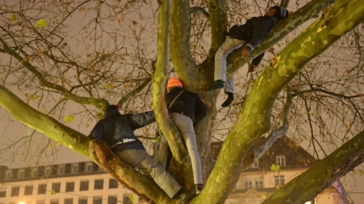 Das ursprünglich bis Anfang Dezember genehmigte Camp musste vorzeitig von der Polizei aufgelöst werden.