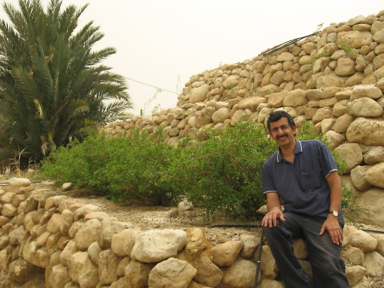 Zohar Amar vor Afarsemon-Pflanzen.