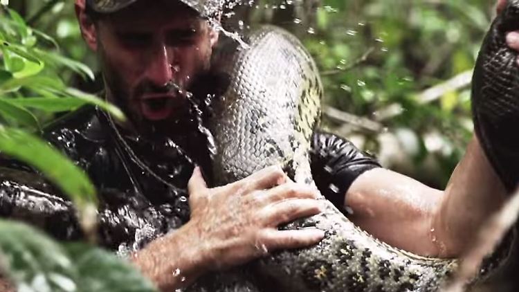 Ganze sechs Wochen verbrachten Paul Rosolie und sein Team im Amazonas-Gebiet mit dem ehrgeizigen Ziel, sich von einer ausgewachsenen Anaconda verspeisen zu lassen. Oder doch nicht?