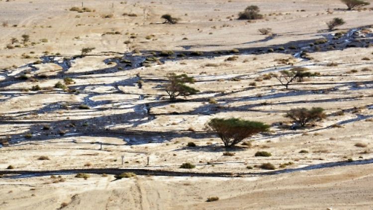 Zahlreiche Menschen in Israel und Jordanien mussten sich wegen den giftigen Öldämpfen ärztlich behandeln lassen.