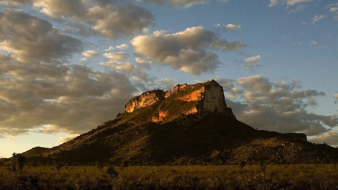 Brasiliens größte Savannenlandschaft, die Cerrado-Savanne, erstreckt sich über die Bundestaaten Minas Gerais, Goias, Tocantins, Bahia, Mato Grosso und Mato Grosso do Sul.