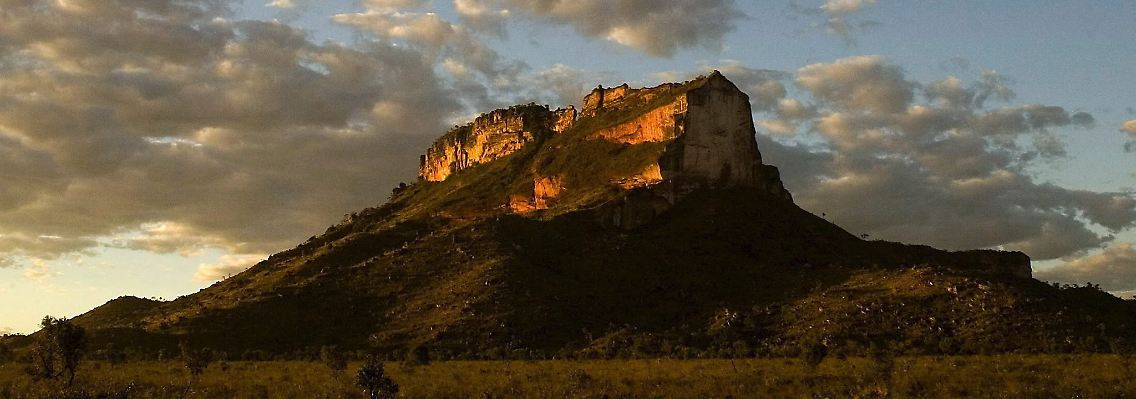 Brasiliens größte Savannenlandschaft, die Cerrado-Savanne, erstreckt sich über die Bundestaaten Minas Gerais, Goias, Tocantins, Bahia, Mato Grosso und Mato Grosso do Sul.