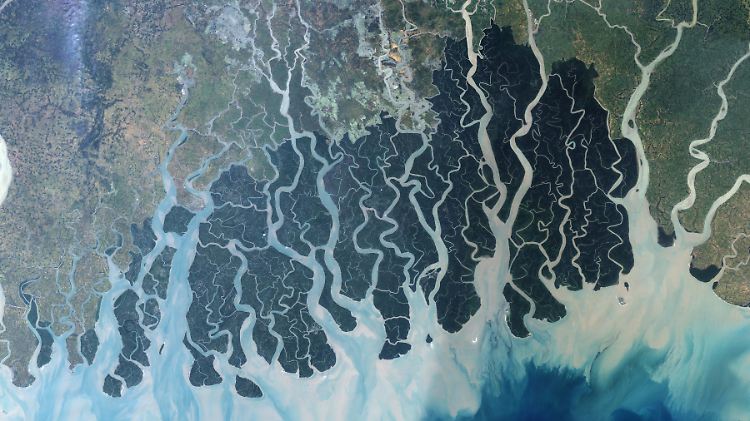 Vor der Ölkatastrophe: die Sundarbans im Satellitenbild. Sie erscheinen tief grün, das hellere Grün im Norden sind landwirtschaftliche Flächen.