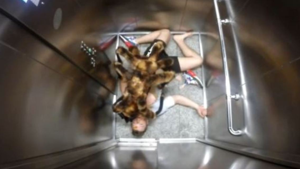 spinne.JPG