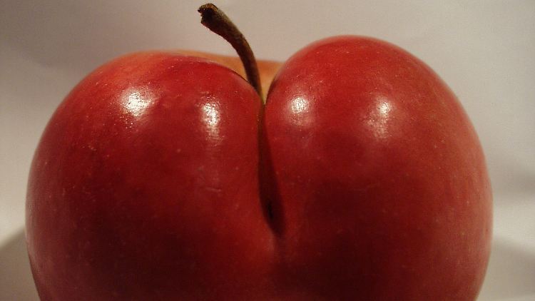 Wer kann bei diesen Bäckchen schon widerstehen?