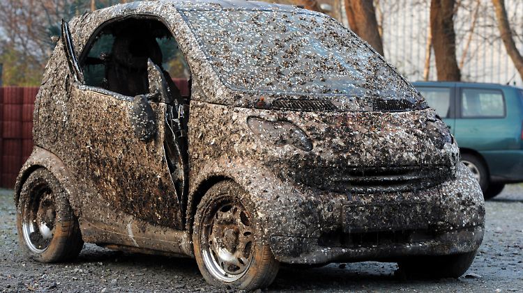Mit einer bizarren Muschel-Patina hat sich der Smart nach sieben Jahren im Wilhelmshavener Hafenbecken überzogen.