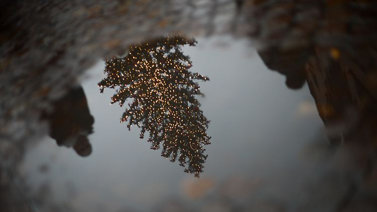 54442050.jpg