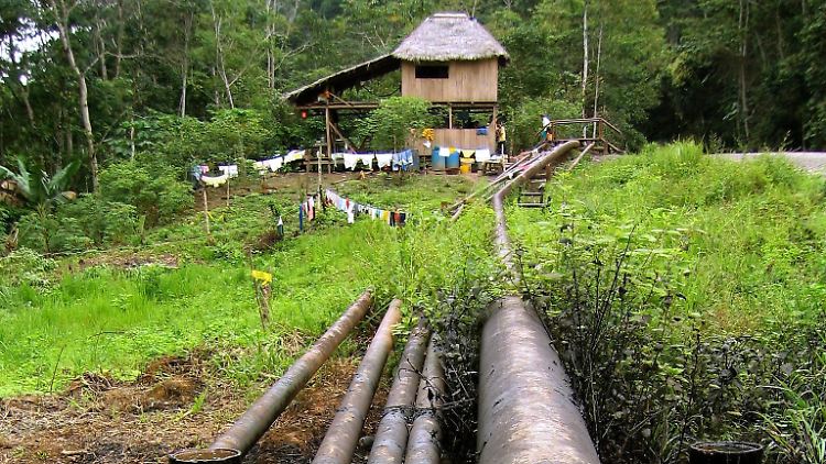Eine Pipeline im Yasuní-Nationalpark: Kritikern zufolge ist die Technik veraltet und es mangelt an Transparenz.