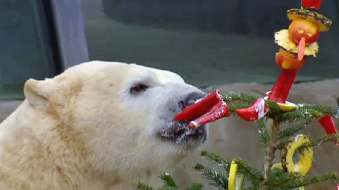 Weihnachten-Bescherung-Zoo.jpg