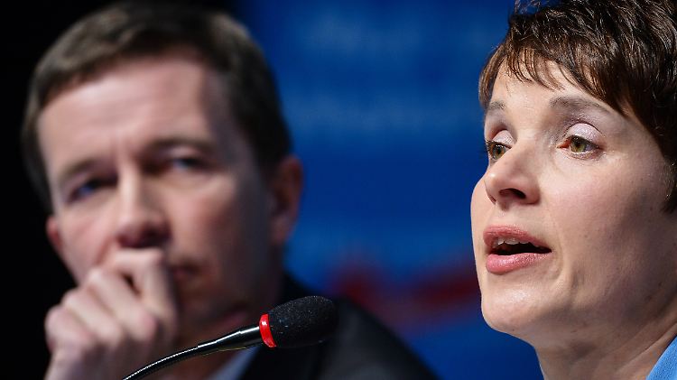 Bernd Lucke und Frauke Petry sind zwei von drei "Sprechern" der AfD.