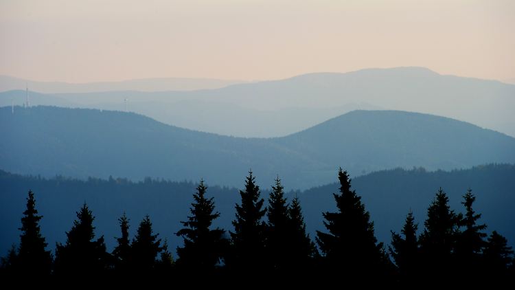 Silvester fernab von allem Trubel, mitten im Schwarzwald. Davon träumte das Pärchen.
