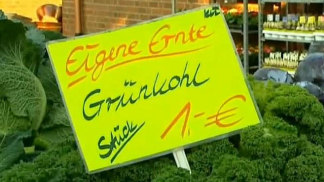 grünkohl.JPG