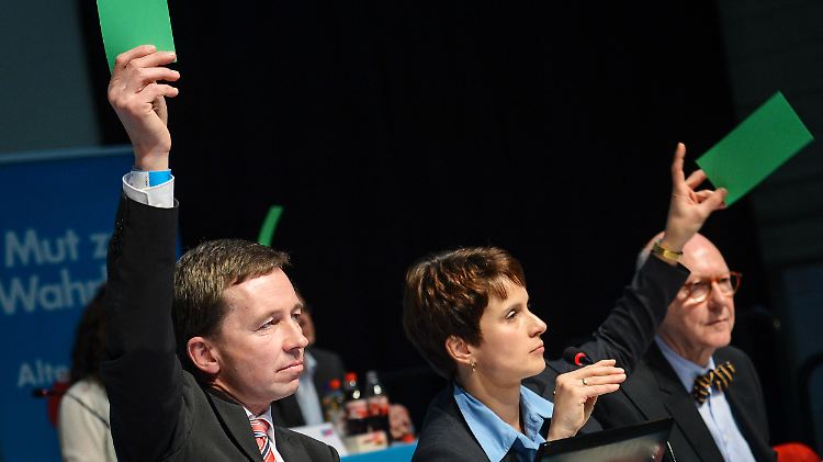 Die AfD-Vorsitzenden Bernd Lucke und Frauke Petry kommunizieren jetzt in halb-öffentlichen Briefen miteinander.