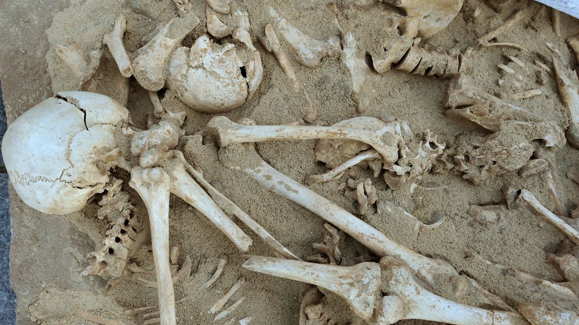 Mittelalterliche Skelette in Erfurt in einem Parkhaus: Sie waren hier vor elf Jahren bei Bauarbeiten von Archäologen entdeckt worden.