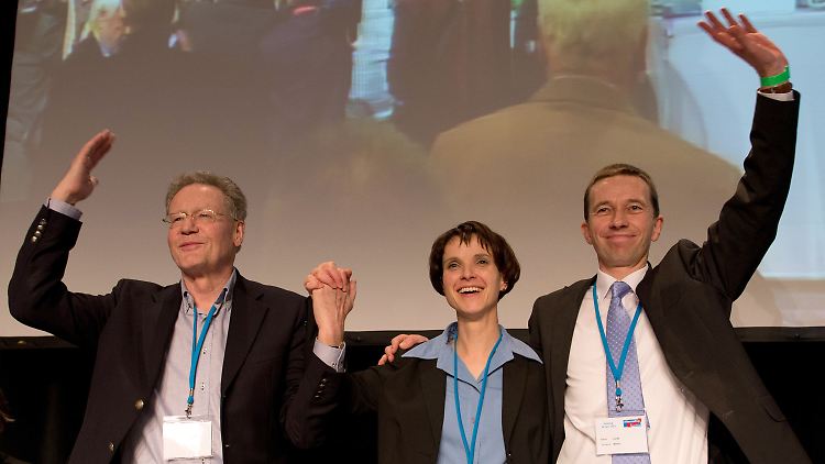Die drei Vorsitzenden sind zerstritten: Adam und Petry wollen Lucke (r.) als Solo-Chef verhindern.