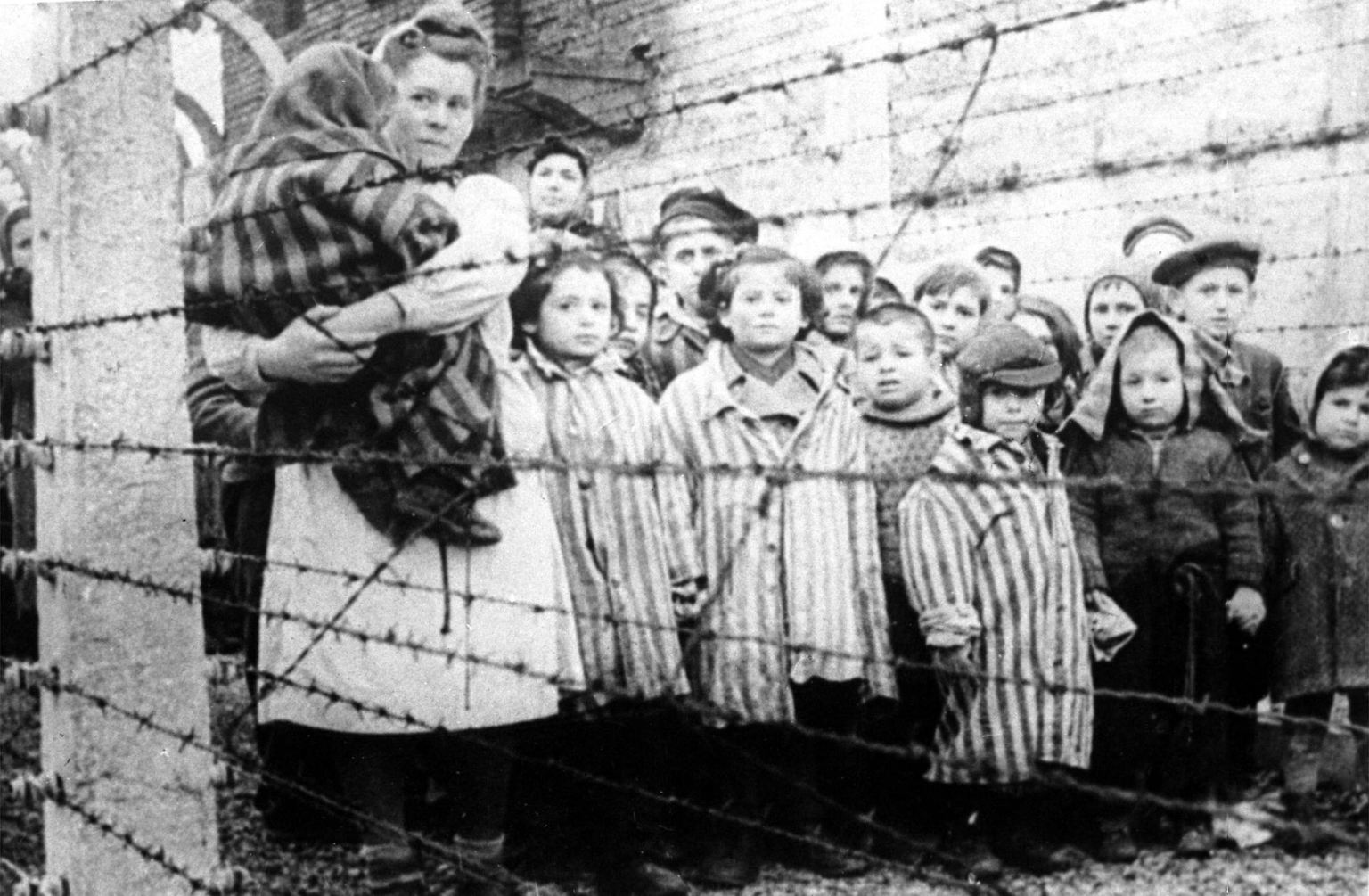 "Eine Welt der Toten und Larven": Die Befreiung von Auschwitz - n-tv.de