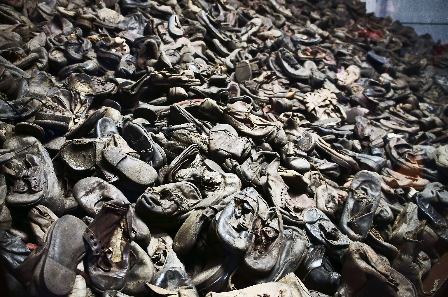 "Eine Welt der Toten und Larven": Die Befreiung von Auschwitz - n-tv.de