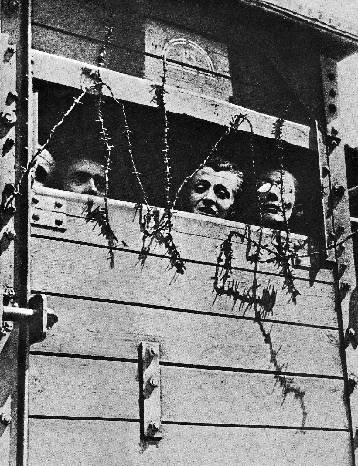 "Eine Welt der Toten und Larven": Die Befreiung von Auschwitz - n-tv.de