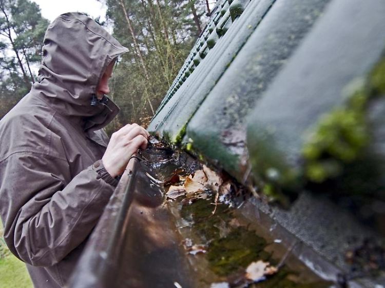 Hausbesitzer sollten vor dem Sturm kontrollieren, ob die Regenrinnen frei von Laub sind.