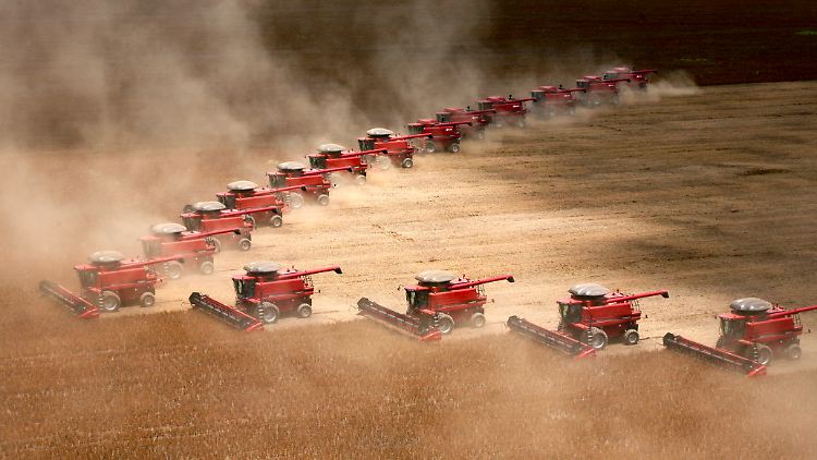 Kein anderer Kontinent ist für seinen Konsum mehr auf fremdes Land angewiesen als Europa. Allein für den Fleischkonsum in der EU werden in Südamerika Futtermittel auf einer Ackerfläche angebaut, die so groß ist wie England.