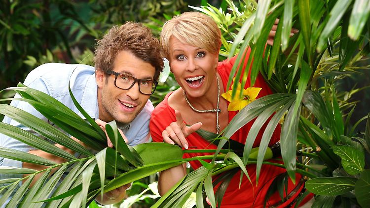 Daniel Hartwich und Sonja Zietlow sind ganz nah dran, wenn die Promis zum Affen machen.