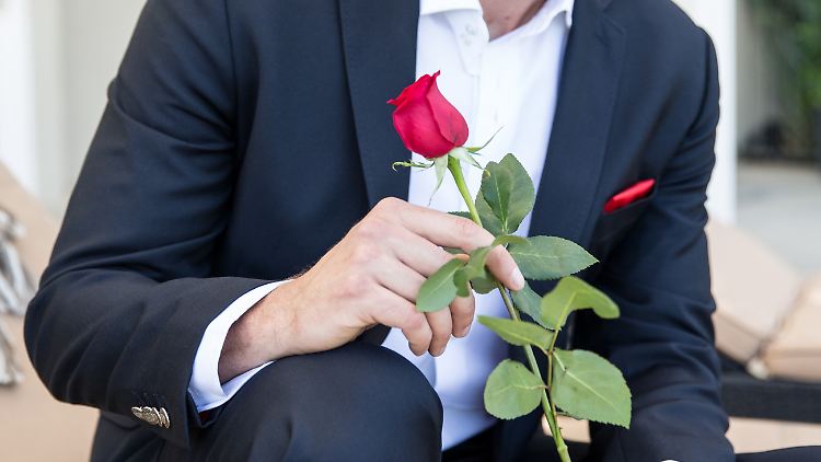 Es sind mal wieder Rosen zu verteilen. "Der Bachelor" könnte Elvira, Romina, Saskia, Jasmin oder Steffi wählen.