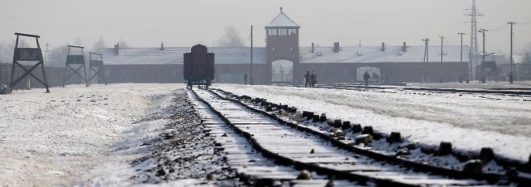Thema: Auschwitz