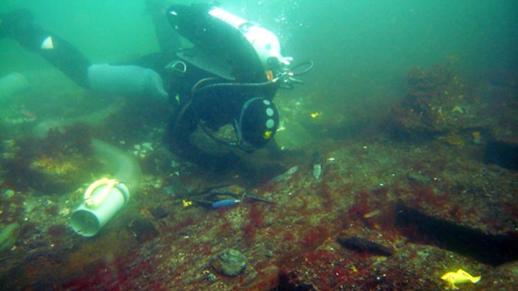 Eines von 1000 Wracks in der Ostsee: ein schwedisches Kriegsschiff von 1715. Entdeckt wurde es 2008 vor Bülk bei Strande am Eingang der Kieler Bucht. Gesunken war es im Großen Nordischen Krieg nach einer Schlacht zwischen Dänen und Schweden.