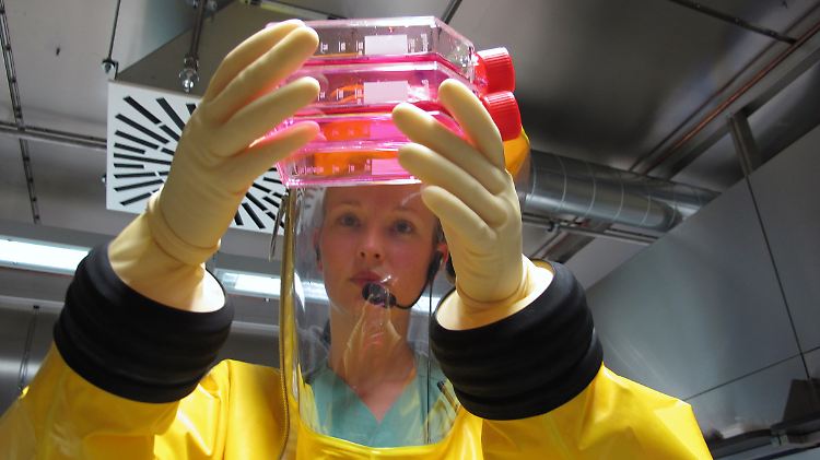Die Marburger Wissenschaftler geben sich optimistisch.