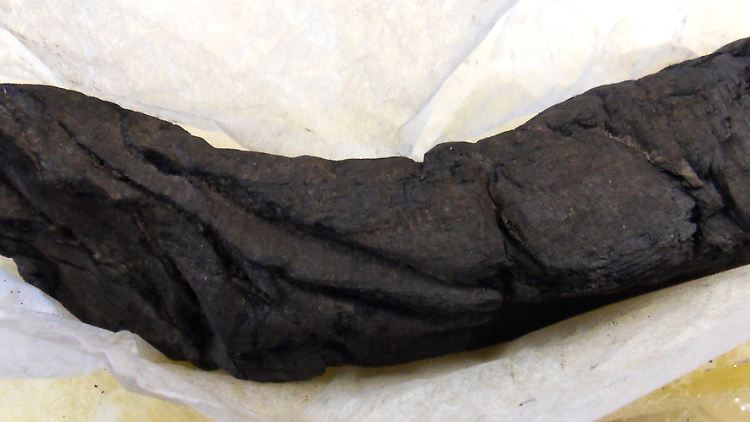 Verkohlt und nicht mehr lesbar: Diese Papyrus-Rolle ist etwa 16 Zentimeter lang.