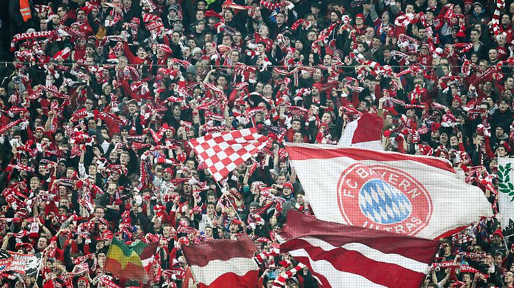 Fans des Branchenprimus: Hier jubeln die Freunde des FC Bayern.
