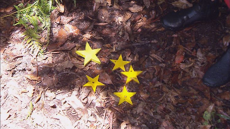 Im Sommer-Camp werden die begehrten Sterne noch schwerer zu erkämpfen sein.