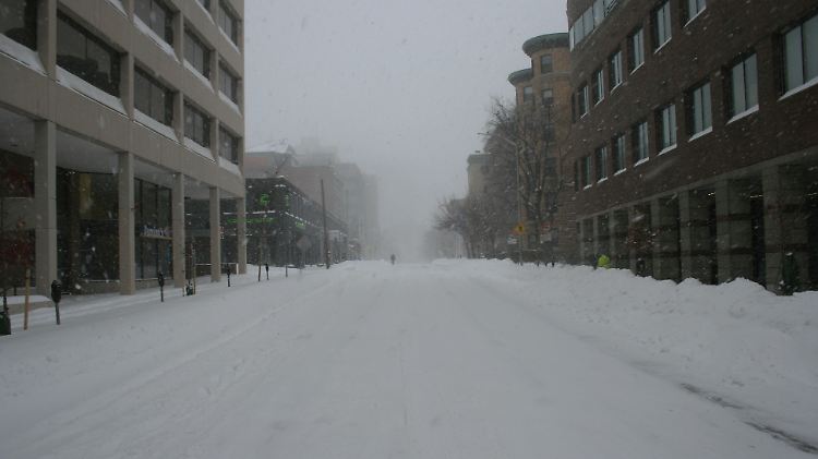 Auf halber Strecke zwischen MIT und Harvard: Die Massachusetts Avenue wirkt wie ausgestorben.