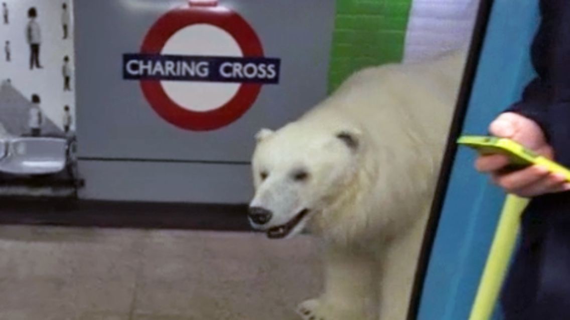 Eisbaer-London.jpg