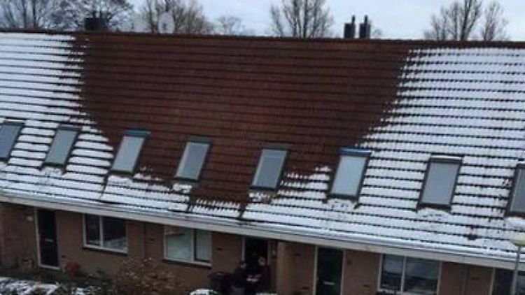 Hanfplantage, Trockner oder Sauna?