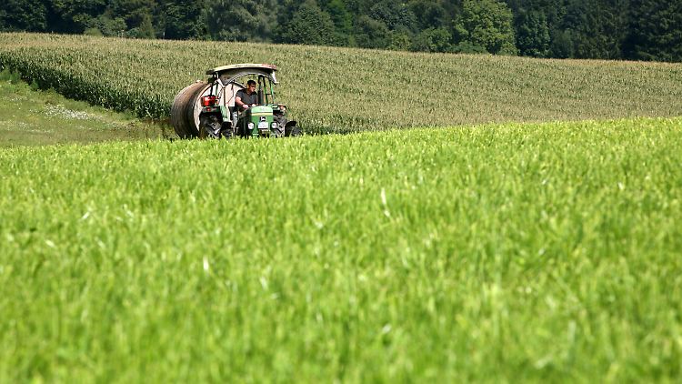 Angebot und Nachfrage passen nicht zusammen.